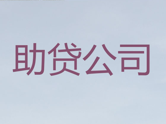 芜湖抵押担保贷款-银行信用贷款